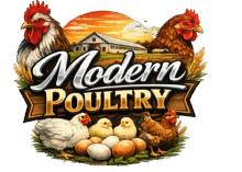Logo for Modern Poultry featuring roosters, hens, chicks, eggs and a barn at sunset.